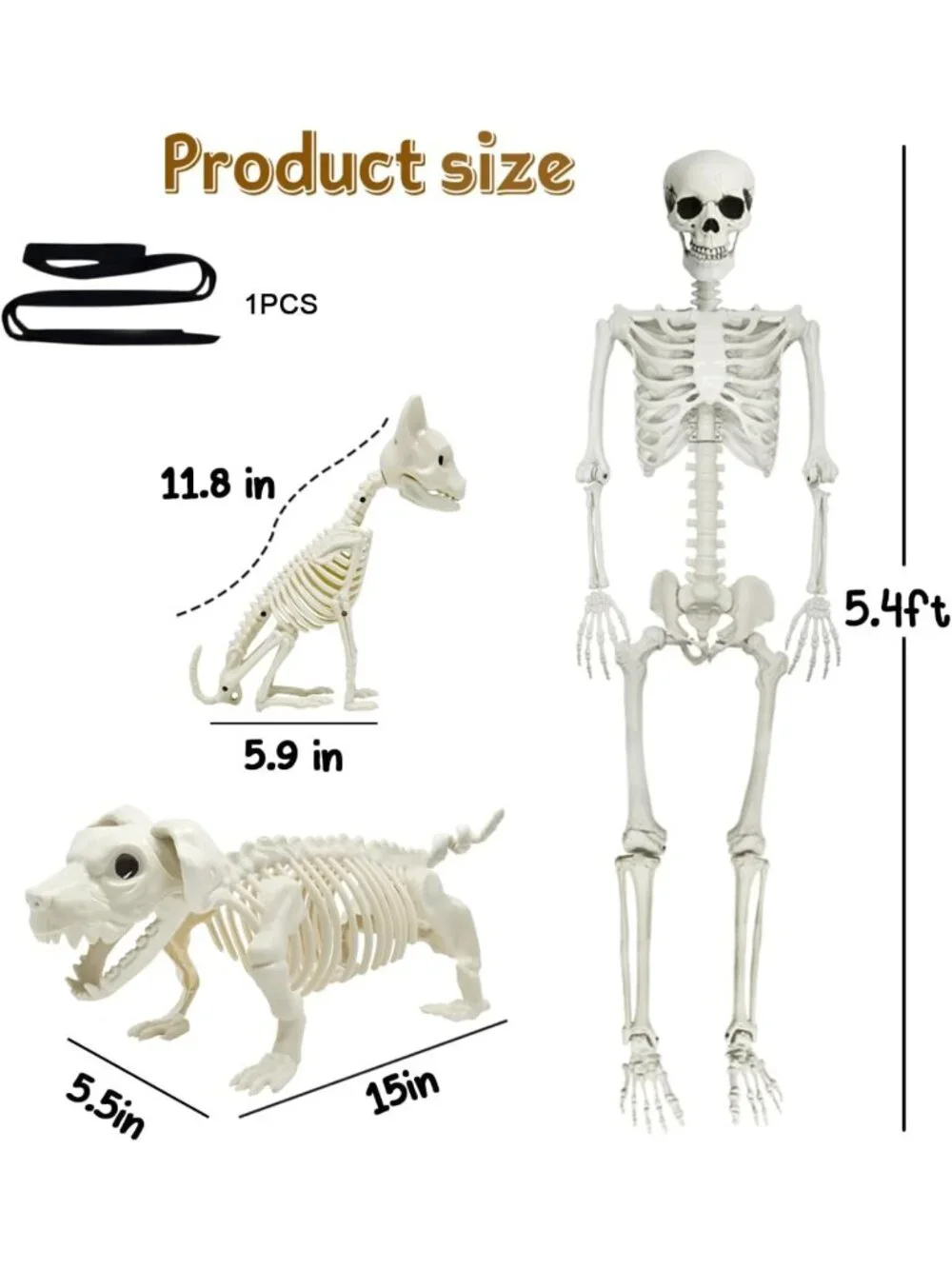 5.4Ft Posable Halloween Skeleton with Dog & Cat - Spooky Decor for Halloween